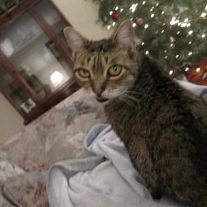 Meet your Posher, Evelyn